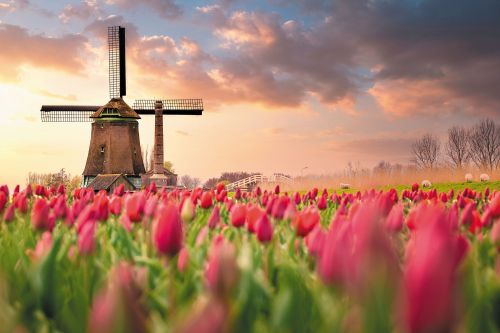 Photos du Voyage VENET : La Hollande des fleurs et la Belgique ( Du 20 au 26 Avril )